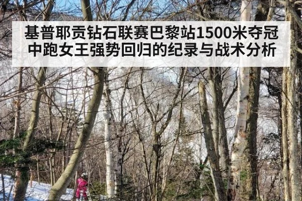 基普耶贡钻石联赛巴黎站1500米夺冠 中跑女王强势回归的纪录与战术分析 - kaiyun